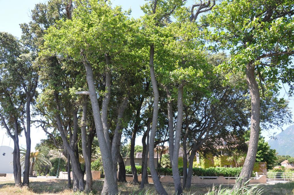 Sole E Mare Aparthotel Santa-Maria-Poggio  Bagian luar foto